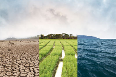 Effects of Climate Change
